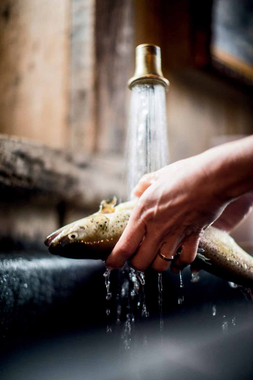 PG2-boek-pure-pascale-naessens-_40T6542 kopie