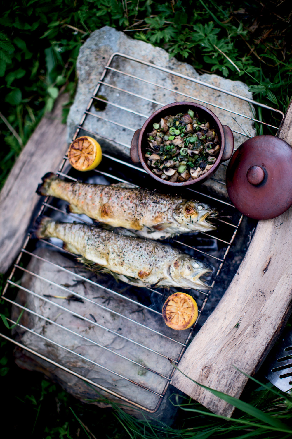 PG2-boek-pure-pascale-naessens-_40T6795 kopie