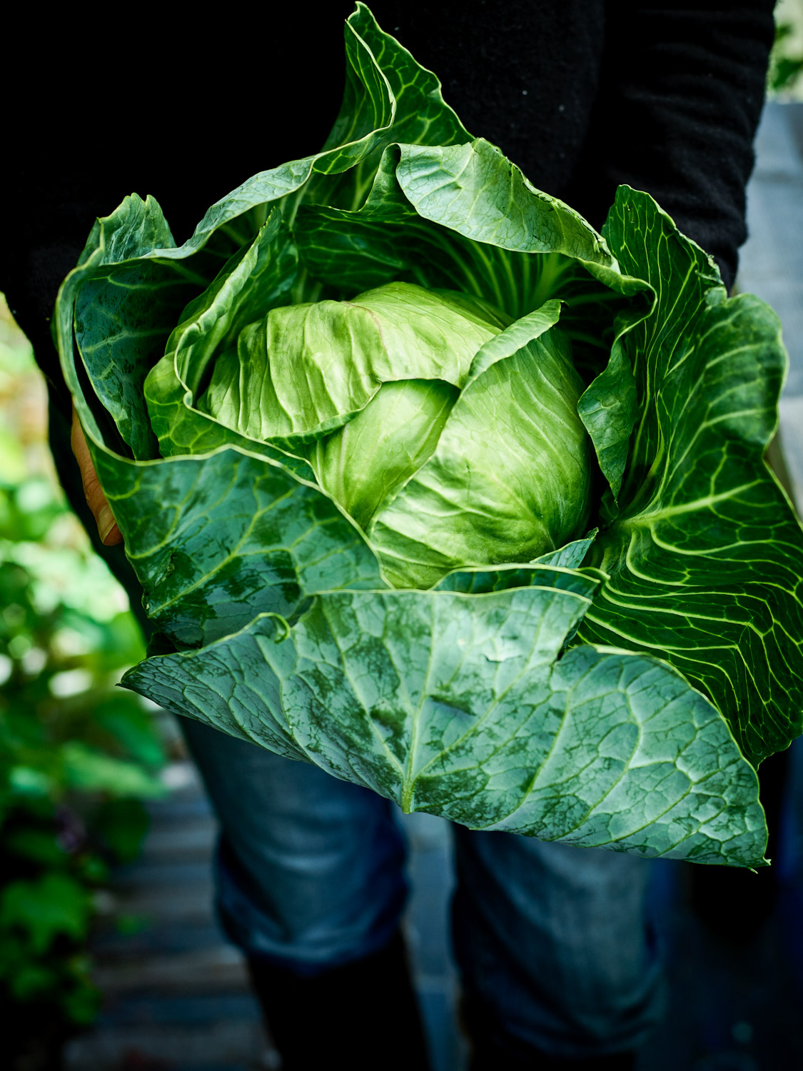 KK1-boek-pure-pascale-naessens-pascale8515 kopie