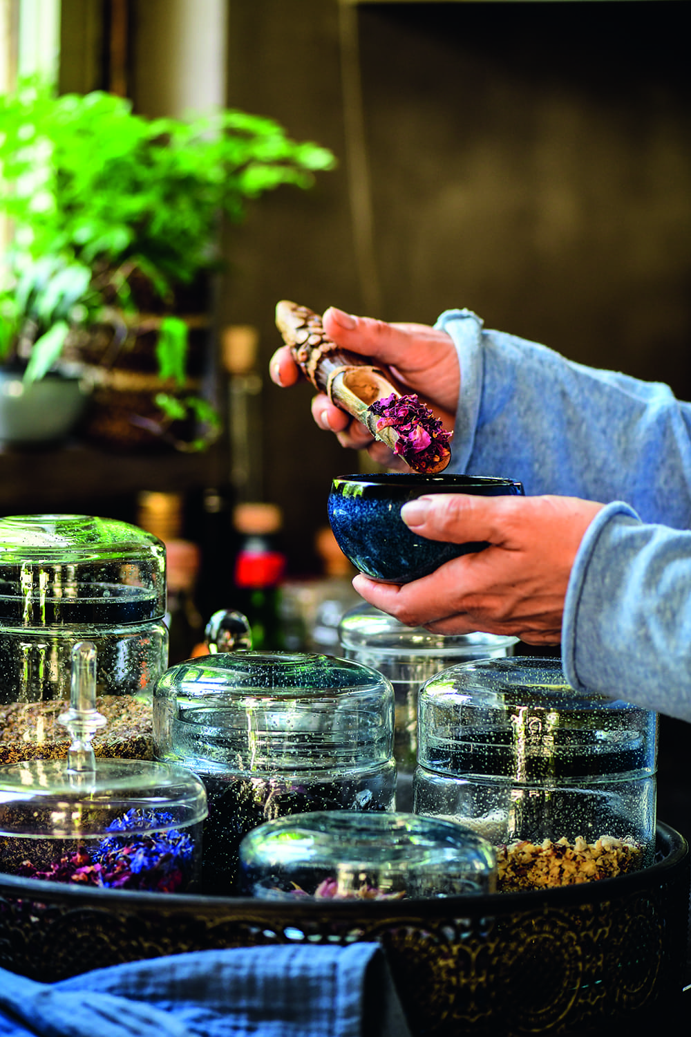 IEZG1-boek-pure-pascale-naessens-_DSC1592 kopie