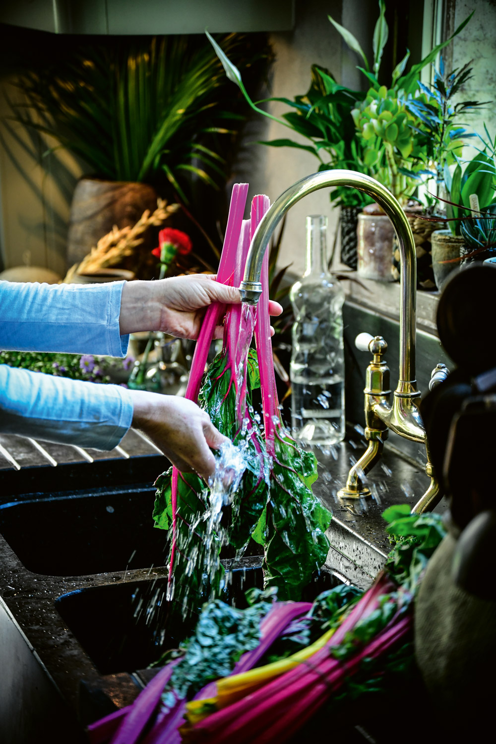 IEZG2-boek-pure-pascale-naessens-Pascale00784 kopie