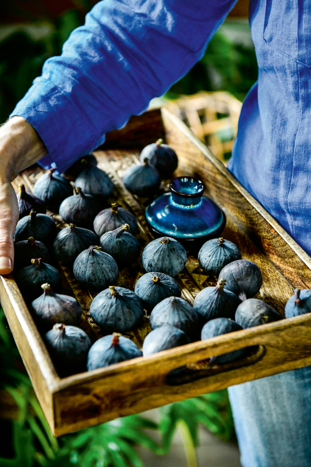 IEZG2-boek-pure-pascale-naessens-_DSC9126 kopie