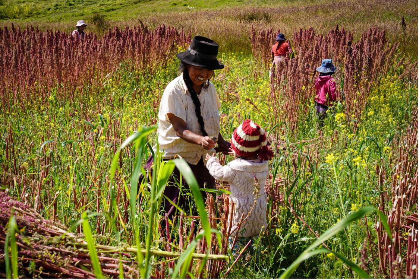 https://admin.purepascale.com/wp-content/uploads/2023/02/pascale-naessens-kinderen-in-peru.jpg